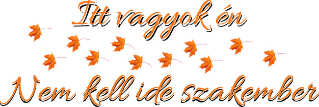 Itt vagyok én - nem kell ide szakember