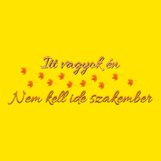 Itt vagyok én - nem kell ide szakember