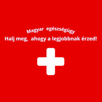 Magyar egészségügy (5)